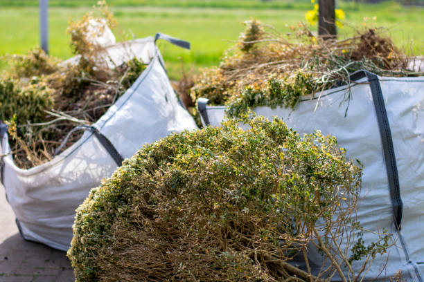 Best Hoarding Cleanup  in East Lake, FL